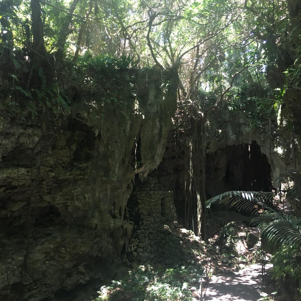 ガンガラーの谷の亜熱帯の森と洞窟の風景